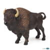 Kolli: 5 American buffalo