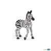 Kolli: 5 Zebra foal