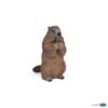 Kolli: 5 Marmot