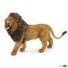 Kolli: 5 Roaring lion