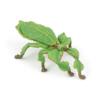 Kolli: 5 Leaf insect