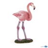 Kolli: 5 Greater flamingo