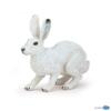 Kolli: 5 Arctic hare