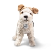 Kolli: 1 Foxy Fox Terrier, multicoloured 32 cm