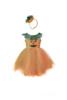 Kolli: 2 Pumpkin Patch Princess Dress, SIZE US 5-6