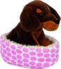 Kolli: 2 Dog in the basket