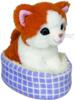 Kolli: 2 Cat in the basket