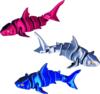 Kolli: 9 Shark