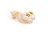 Kolli: 2 Reigning Beauty High Heels (1 pair), Gold, ONE SIZE 29-30